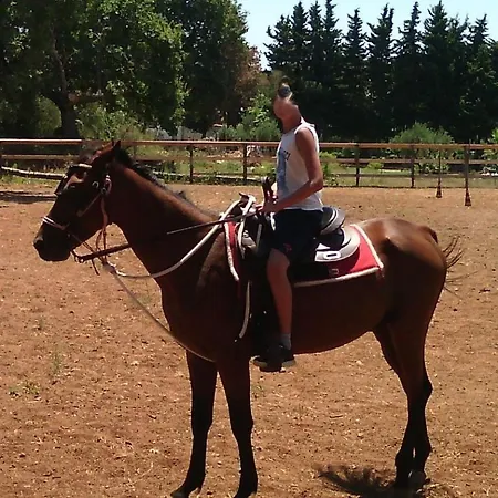 Casa Il Pontile Monolocale Santa Maria Del Cedro Apartment *