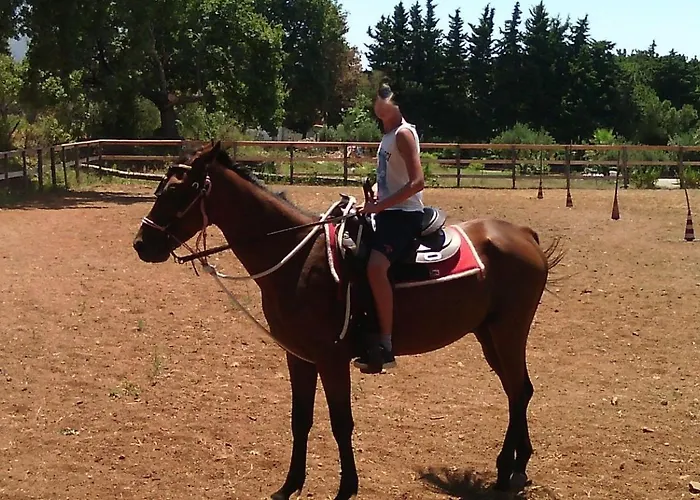 Casa Il Pontile Monolocale Santa Maria Del Cedro Apartamento *